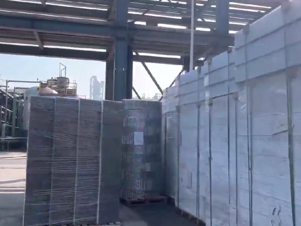 四川福華集團  二乙酯項目，塔內(nèi)件，填料